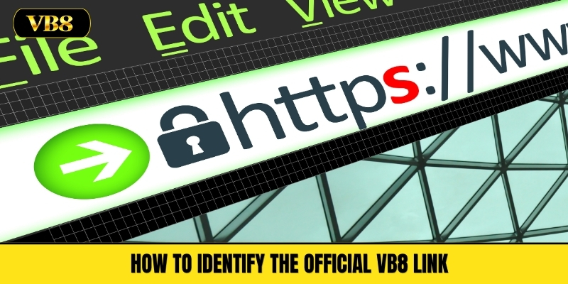 How to Identify the Official VB8 Link
