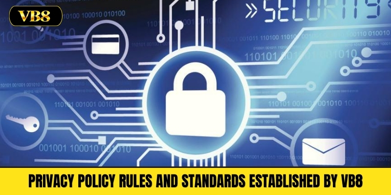 Privacy Policy Rules and Standards Established by VB8