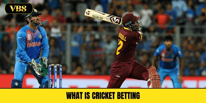 What Is Cricket Betting