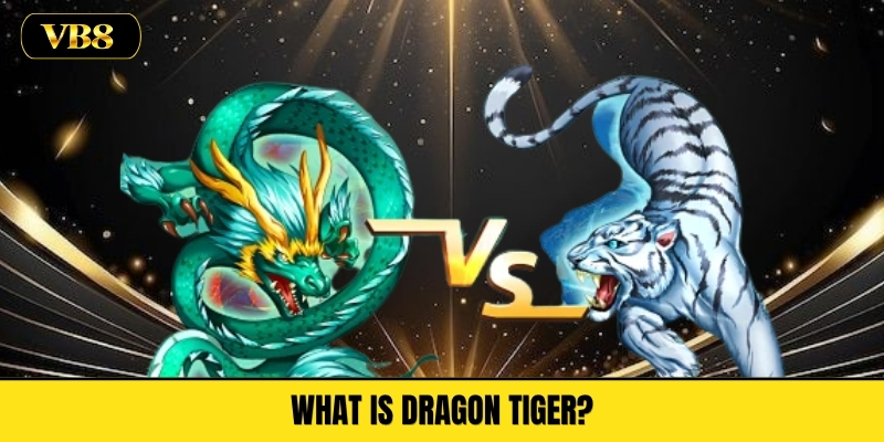 What Is Dragon Tiger?