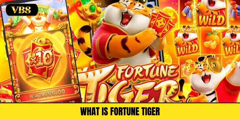 What Is Fortune Tiger
