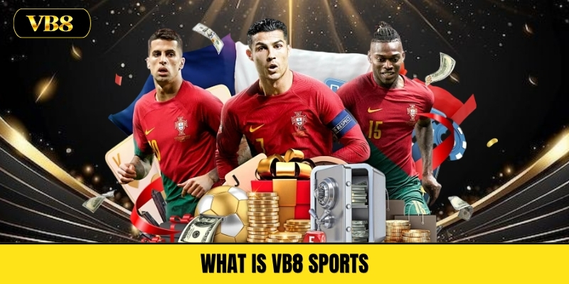 What Is VB8 Sports